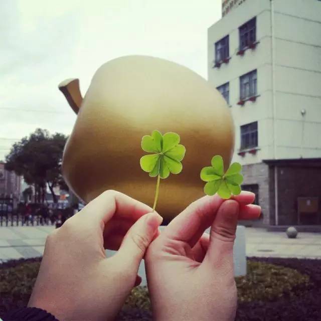 上海回不去的青春,上海市建平中学老照片