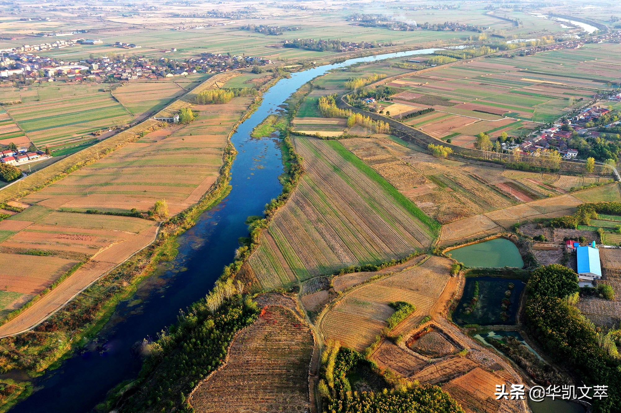 国军发动百团大战消灭日军主力,武汉会战全歼日军106师团