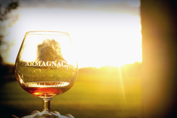 除了干邑，值得一喝的白兰地还有很多