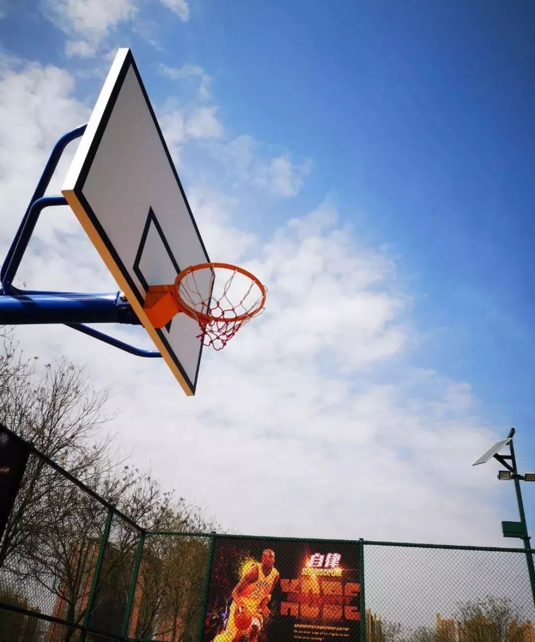 大明宫主题运动馆,大明宫曲江体育运动中心