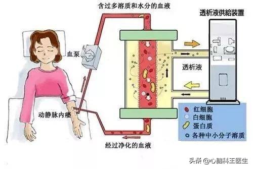 脂蛋白a高能治好吗,脂蛋白a高吃他汀降不下去咋办