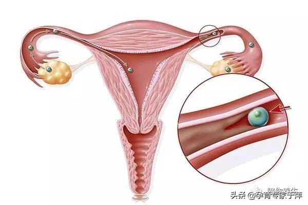 青岛治不孕专家于萍,于萍不孕不育在青岛哪个地方