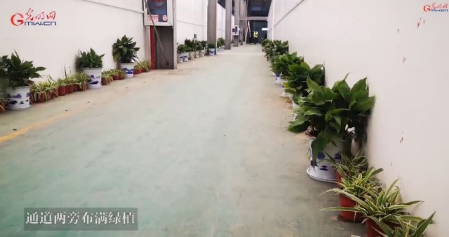 新冠肺炎重症治疗费多少钱,新冠肺炎治疗费免费吗