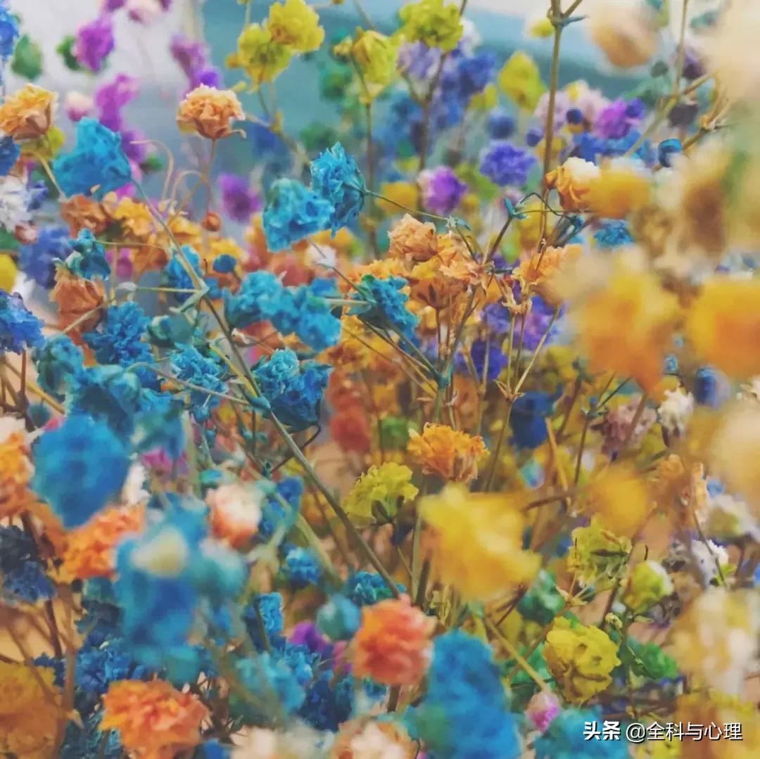 心灵鸡汤的正能量句子短句,心灵鸡汤短句经典正能量句子