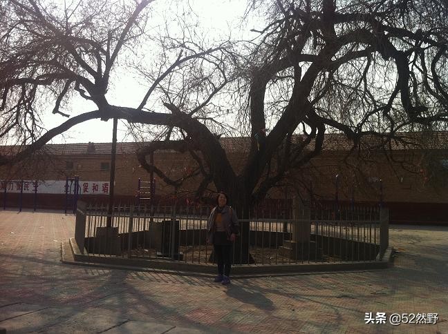 永定河北京的母亲河桑干河,桑干河与滹沱河