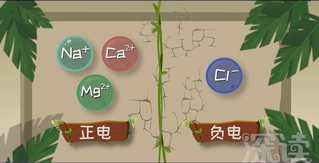 儿童良性癫痫的发病病因,癫痫发病的诱因有哪些