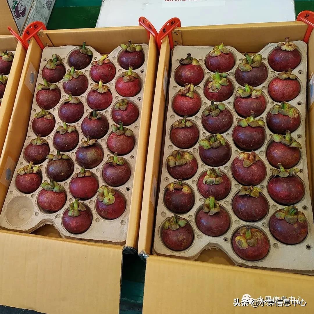 韩国水果批发市场进货渠道,韩国首尔最大的水果批发市场