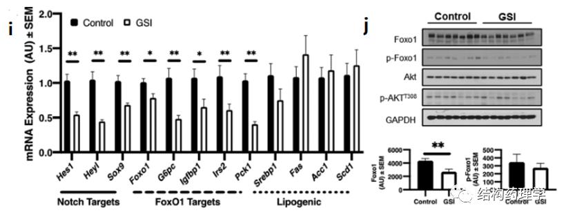靶向药会引起血糖酮症酸中毒吗,靶向药物parp抑制剂