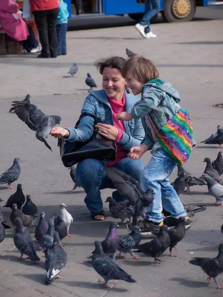 娆ф床鐪熺殑绂绘垜浠緢杩滃悧,娆ф床閭ｄ簺琚拷鐣ョ殑缇庝附鍩庡競