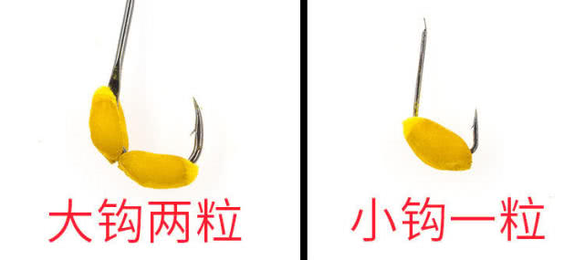 一种神奇钓法世代相传能钓各种鱼,四川钓谷麦的正确方法