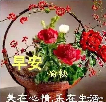 亲爱的朋友快乐一生,亲爱的朋友每天开心快乐