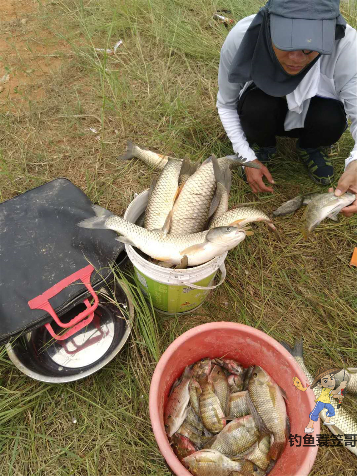 打窝小妙招,打窝最好的诱鱼方法