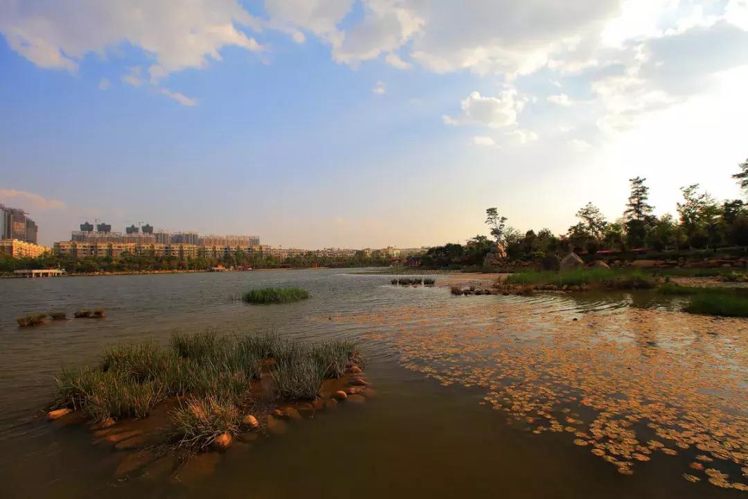 未来昆明发展潜力最大城市,昆明和青岛哪个城市发展潜力大