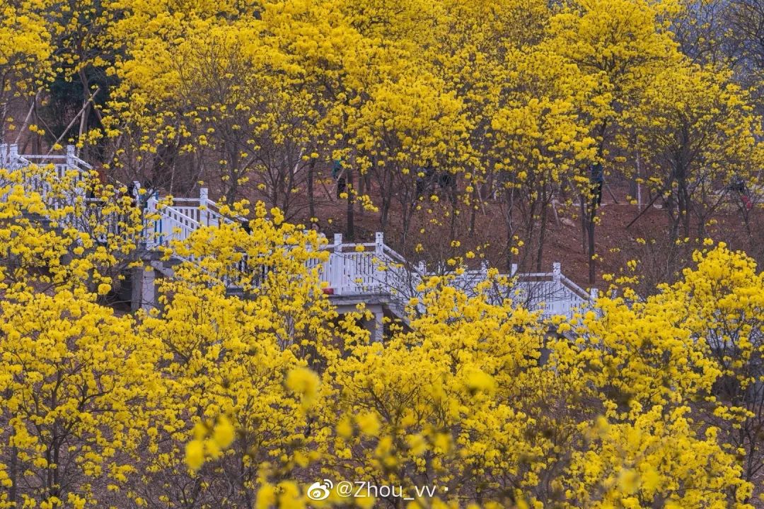 你有老铁,我有老友,有一种幸福叫南宁!
