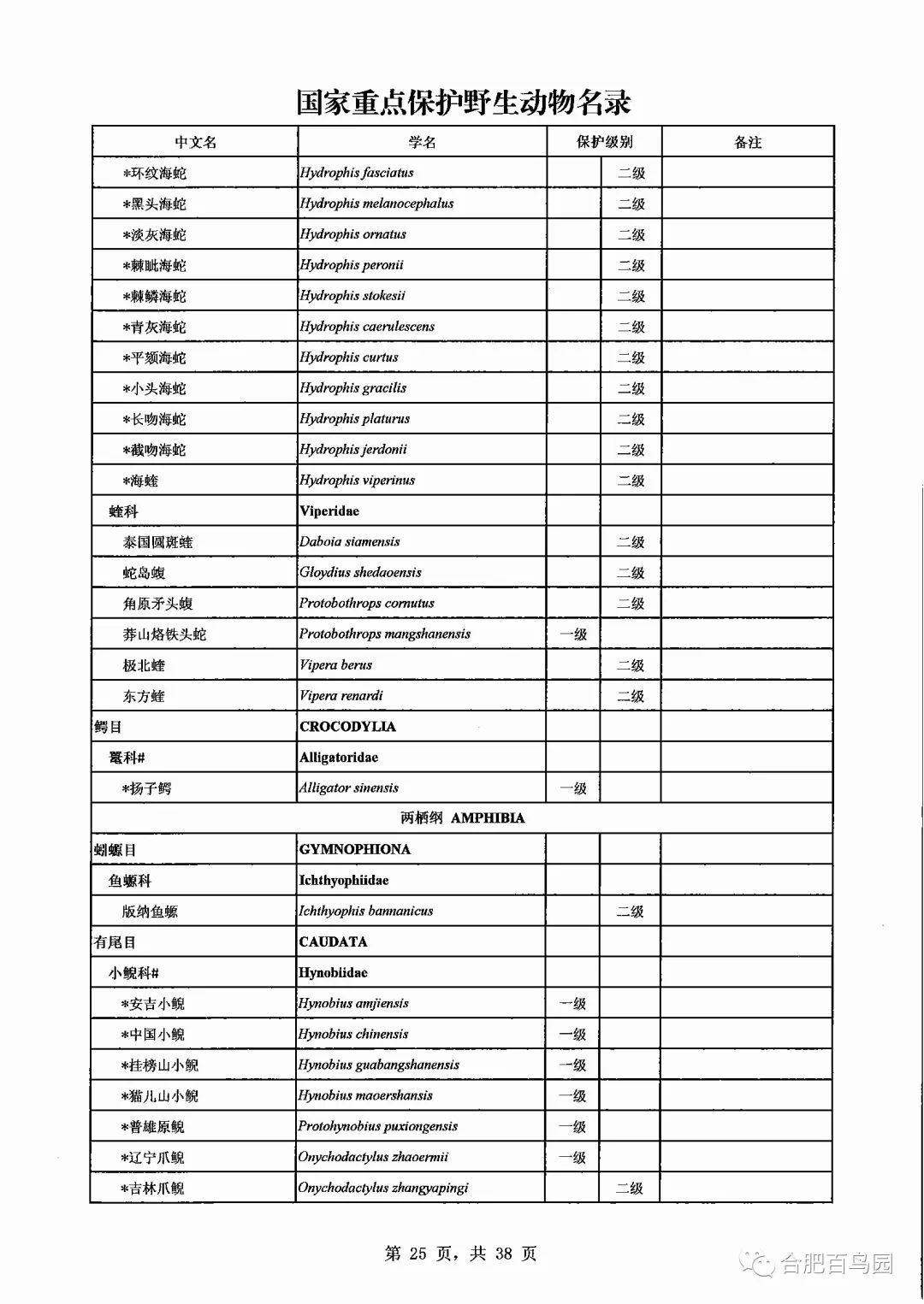 蛇如何升级为龙,可以升级的蛇