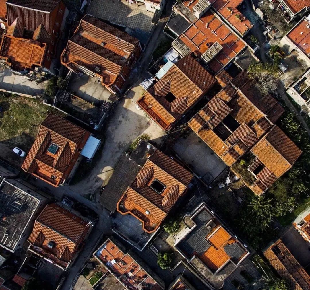 渚ㄨ缁挎鍜栧暋,鍙戠幇榫欐箹涔嬬編