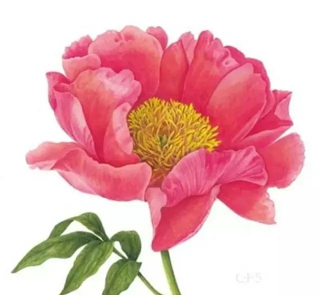 女人如水妻子越柔越旺夫旺家,女人温柔如水才能旺家