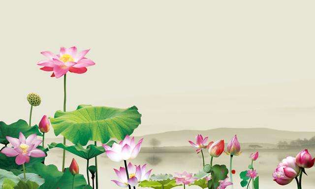 三句与荷花有关的诗句,关于荷花的优美诗句古诗