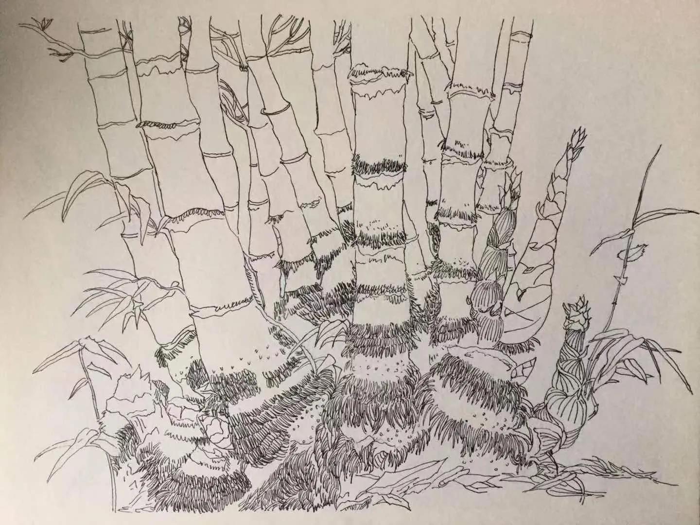 幸福原创绘画作品欣赏,幸福原创画作品