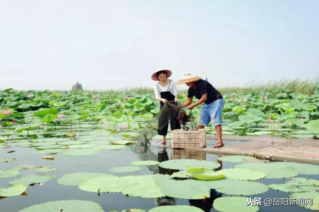 闯出“青春+网络”的创业路