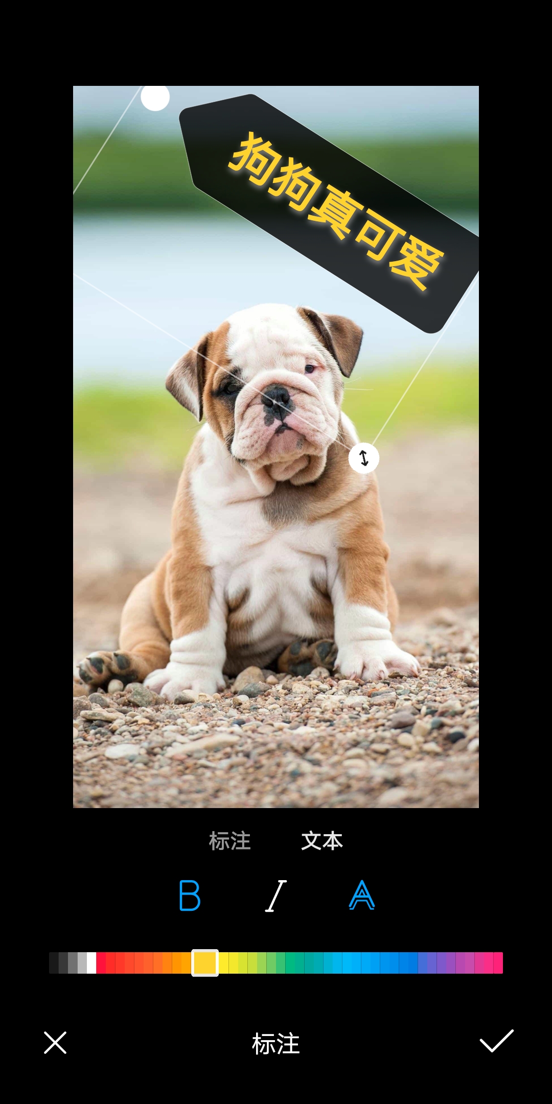 如何把微信图片添加文字,怎么给微信图片添加文字