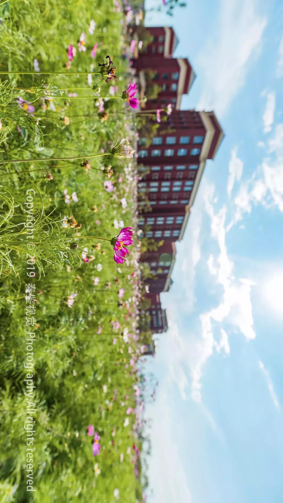 泾河新城是个什么样的地方,集贤里泾河新城