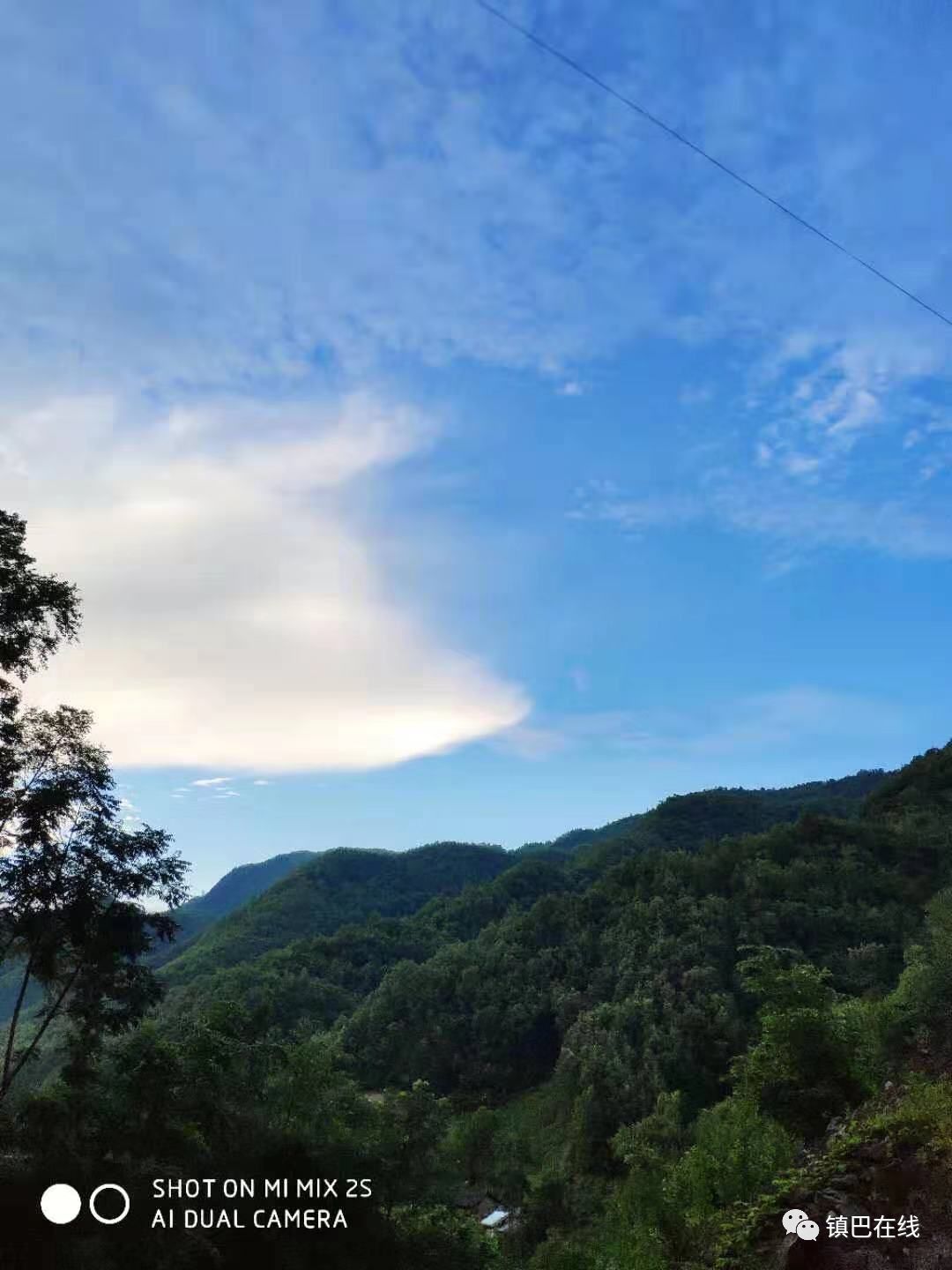镇巴木竹林风景区,镇巴云雾山风景区