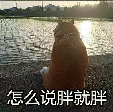 好用的睡眠面膜性价比高推荐,兰芝细胞修复睡眠面膜好用吗