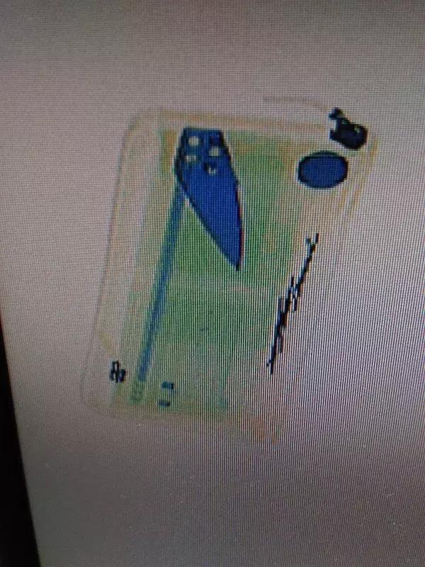 法院安检是害怕什么,法院司法警察安检常遇问题