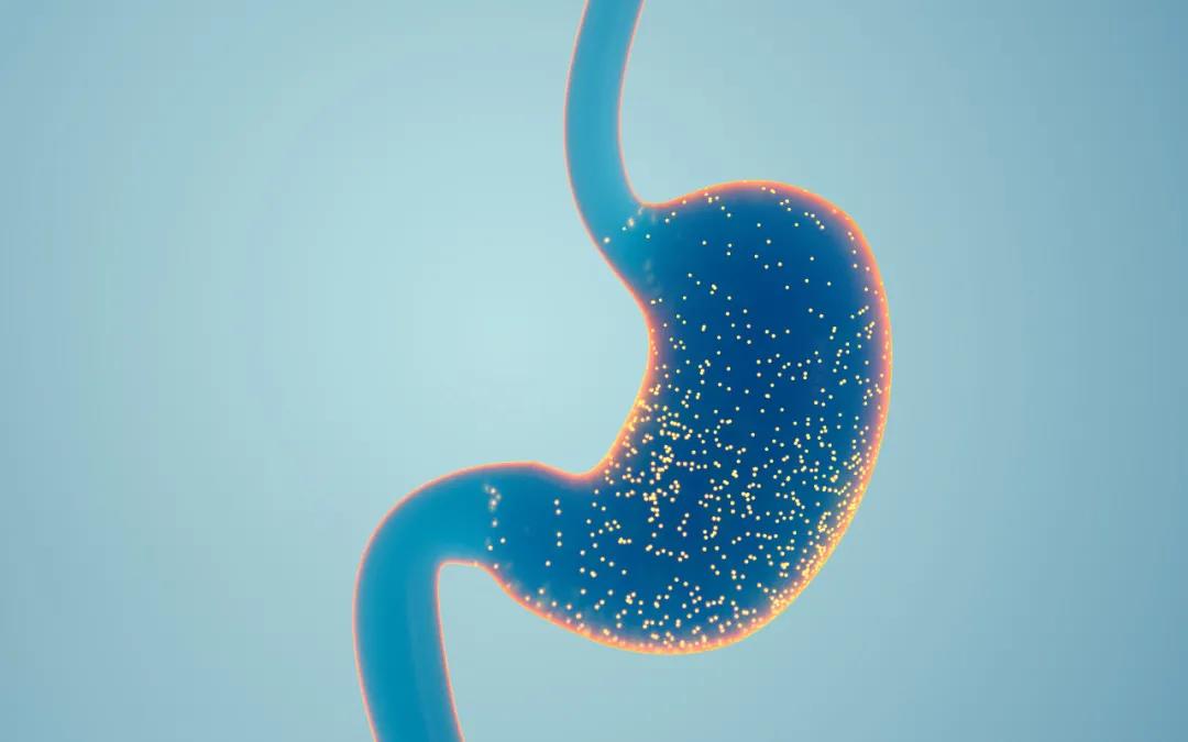 舒乐洁hp牙膏能治幽门螺杆菌吗,幽门螺旋杆菌hp牙膏好用吗