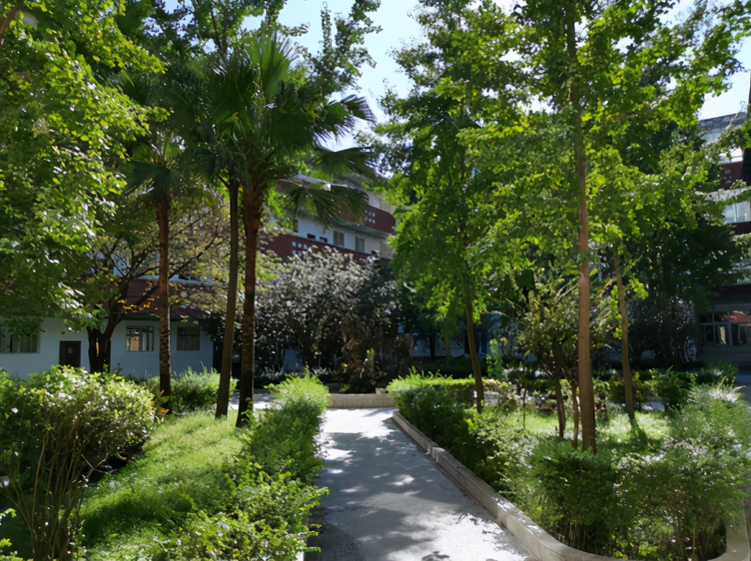 成都拥有丰富的教育资源,坐拥天时地利人和