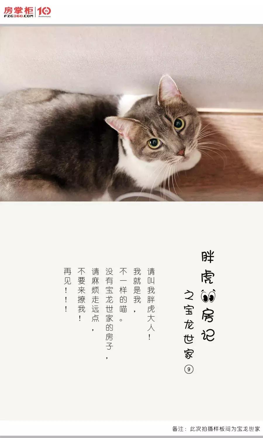 「胖虎大人看房记」第②期——宝龙世家