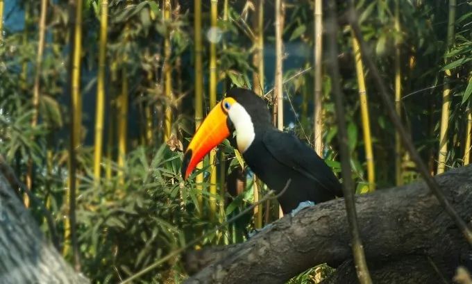 春节假期济南适合儿童玩的地方,济南亲子游玩必去十个景点