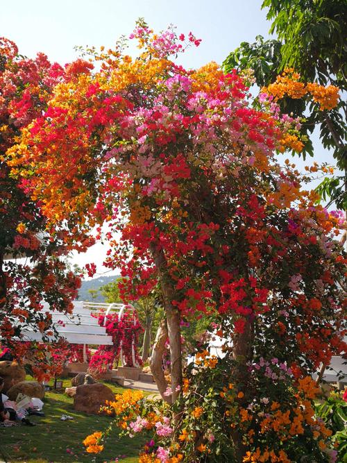 放假的时候逛了青秀山,去青秀山游玩收获了哪些