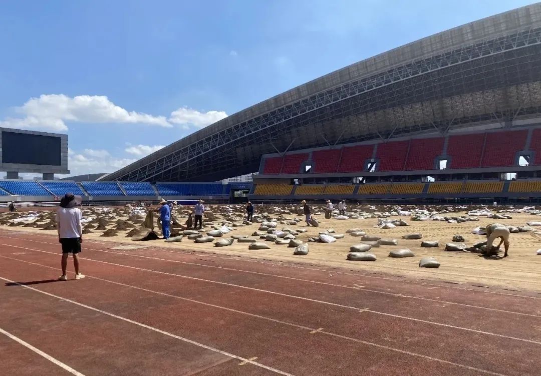 空手套白狼才是真正的生意,空手套白狼现实中