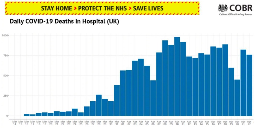英国医疗队支援,英国抗疫工作组