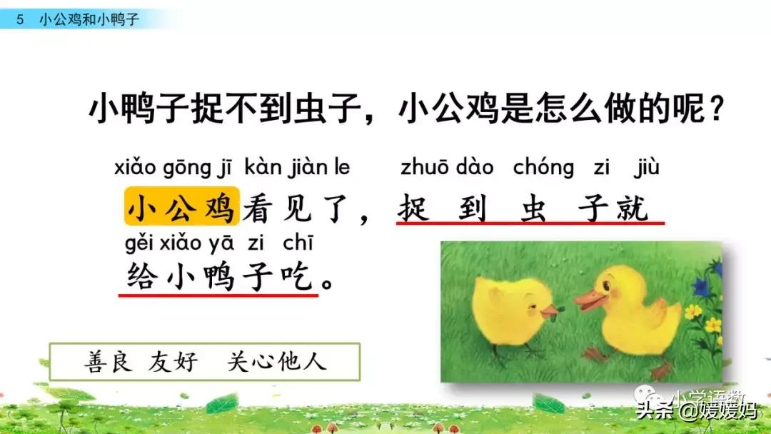 一年级小公鸡和小鸭子仿写句子,一年级小公鸡和小鸭子的看图写话