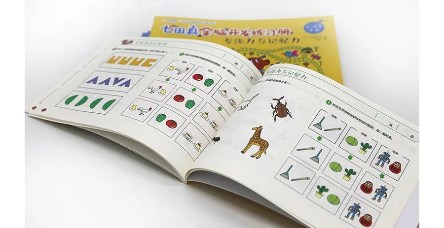 益智启蒙玩具测评,玩玩具开发智力