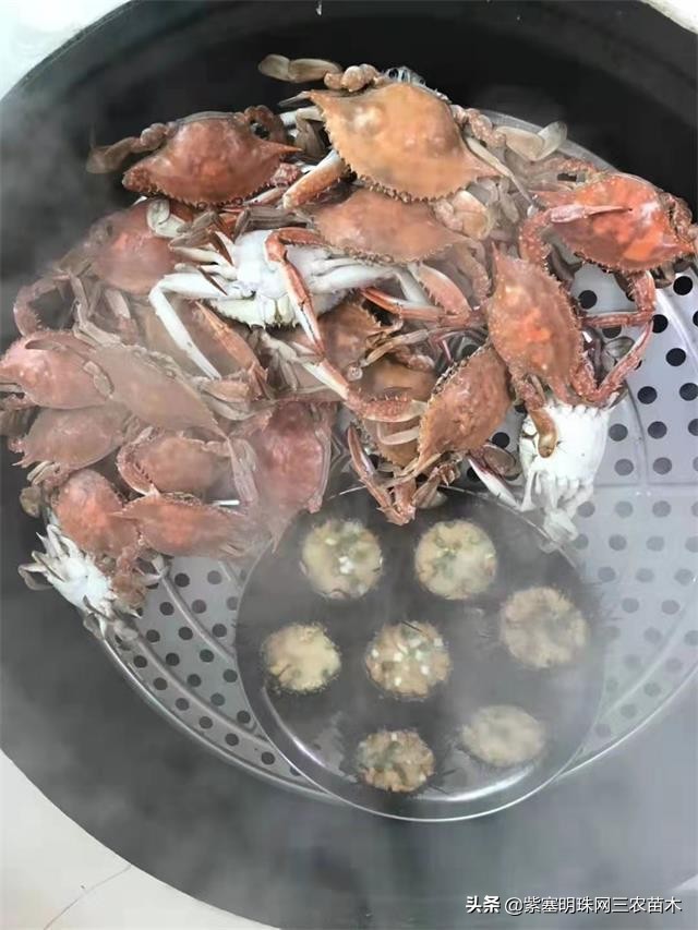 爱上一座城爱上一个人短视频,长岛大壮渔家民宿团购