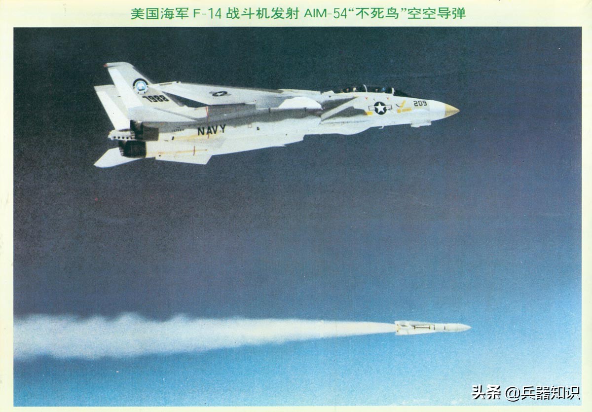 鸟中之王排行榜,鸟中之王