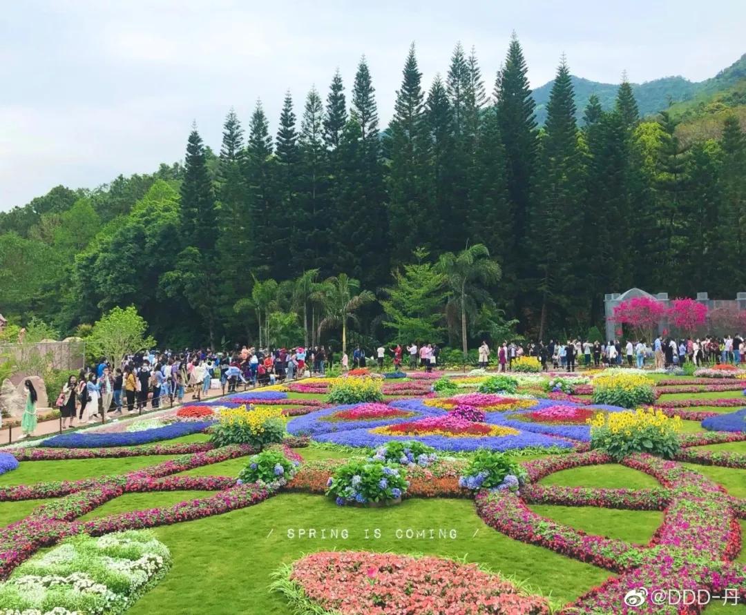 深圳花展2019年12月时间表,深圳第一场春天花展