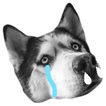 马云退休后的自述,马云退休后的生活水平