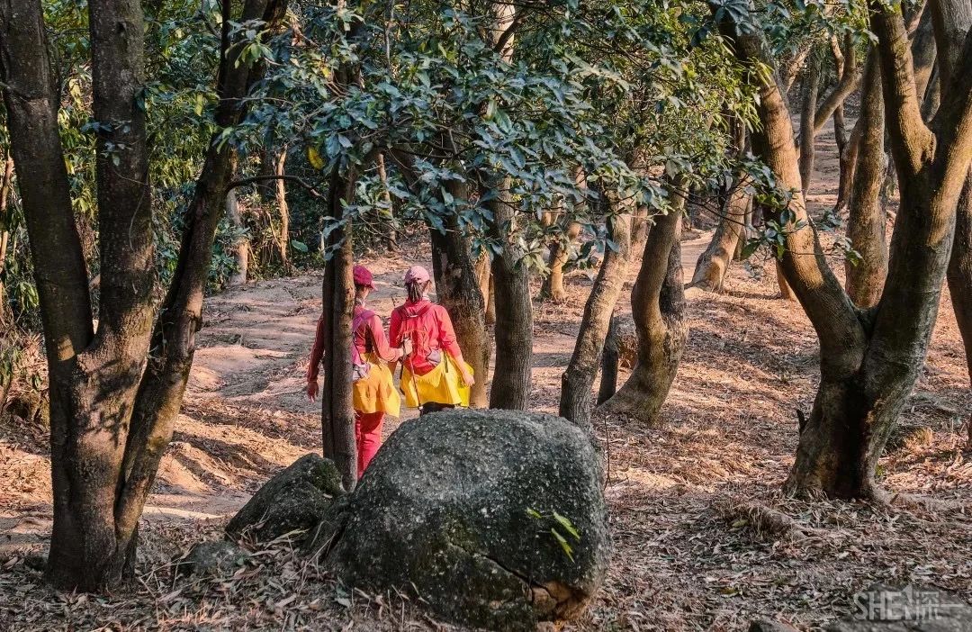 放假在深圳能去哪里玩,放假了可以去深圳的哪些地方玩