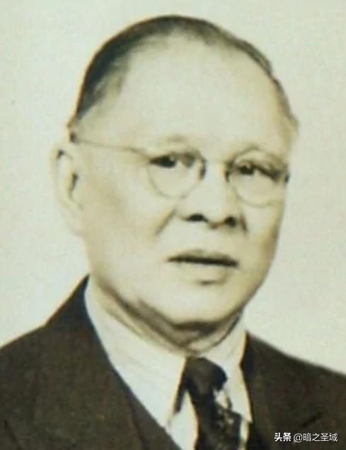 中国抗战实录1937到1946,华侨抗战