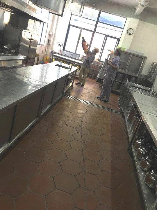 疫散花开喜迎新春,疫散花开准备复工