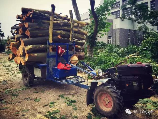 20年前的安徽理工大学,安徽理工大学辉煌校史