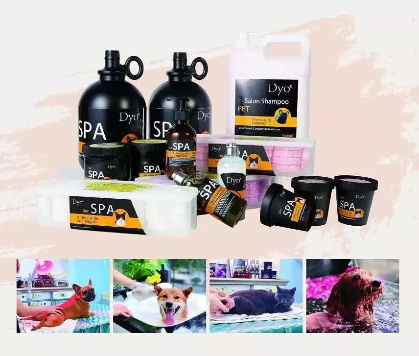 如何运营一家高端宠物店,宠物店萌系造型