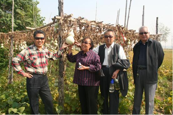 鎵堥瞾,鎵堥瞾鍥界敾