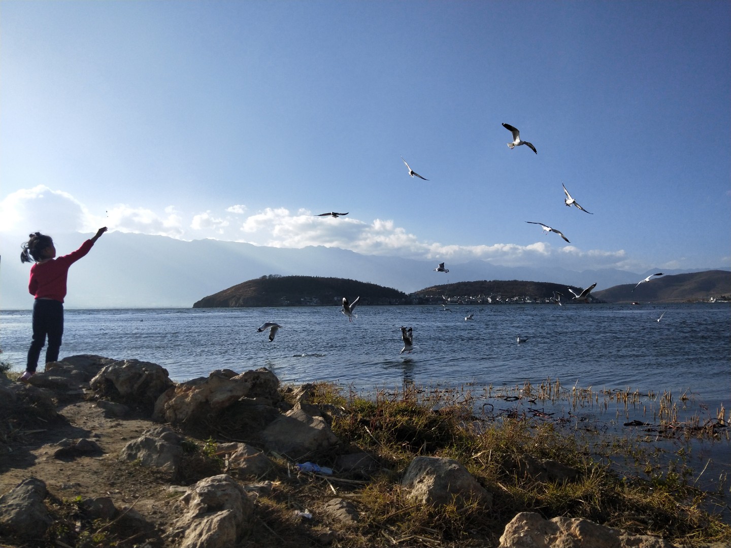 自驾房车小姐姐,一个小姐姐拖挂房车旅行生活视频