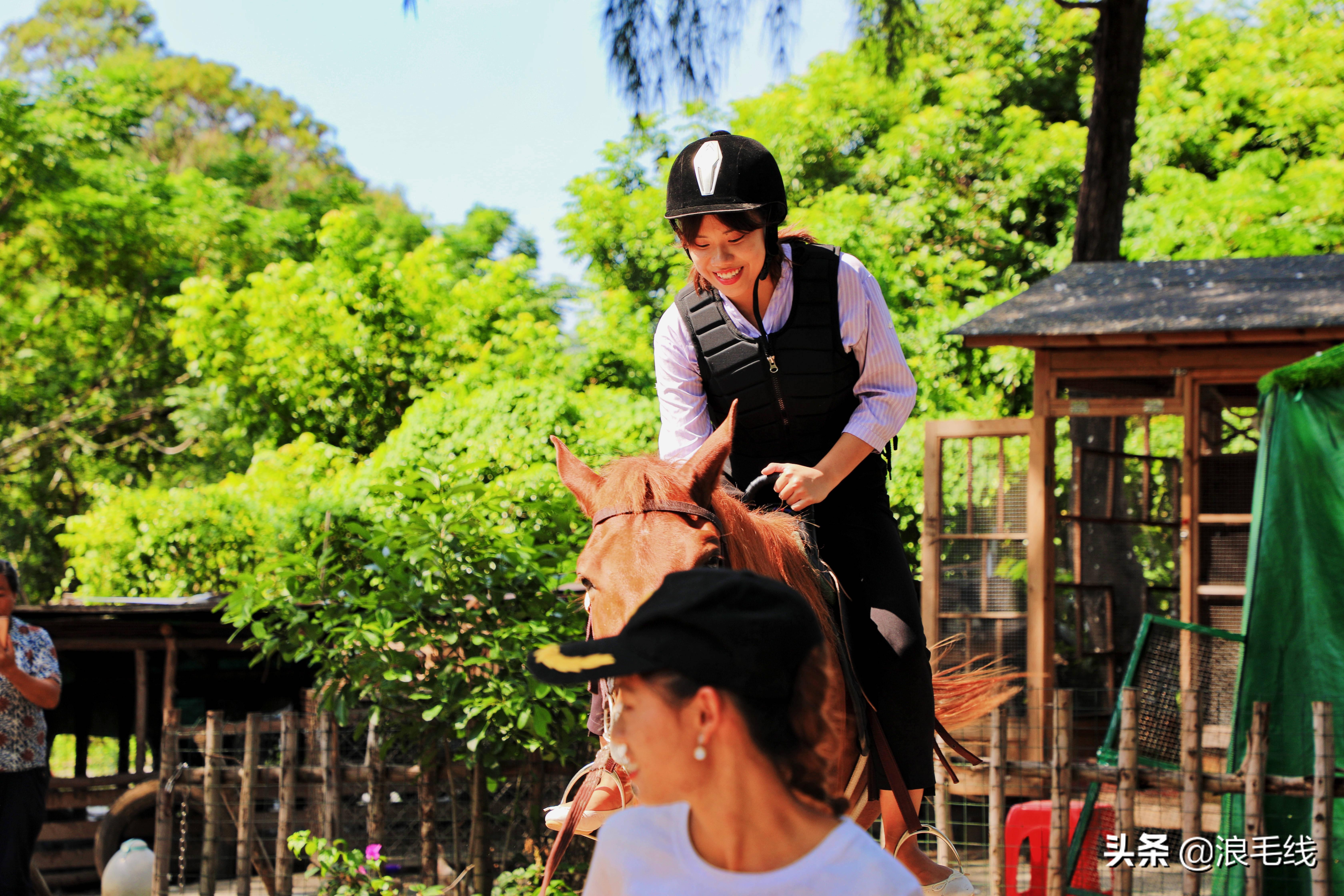 三亚海棠湾自由行热门攻略,那年夏天那片海简介